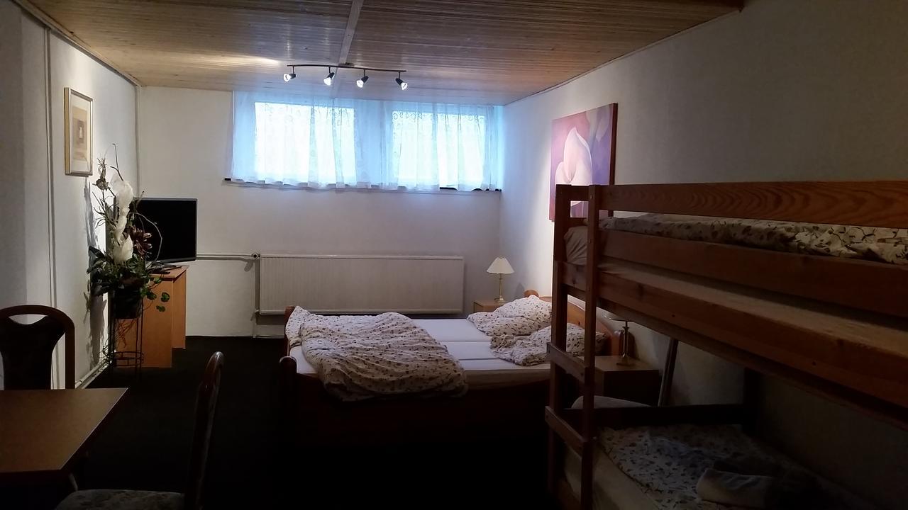 Pension Und Restaurant Die Burg Ehrenfriedersdorf Экстерьер фото
